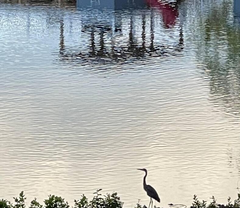 Eagle'S Nest Cottage - Lake Anna Waterfront Bumpass 外观 照片